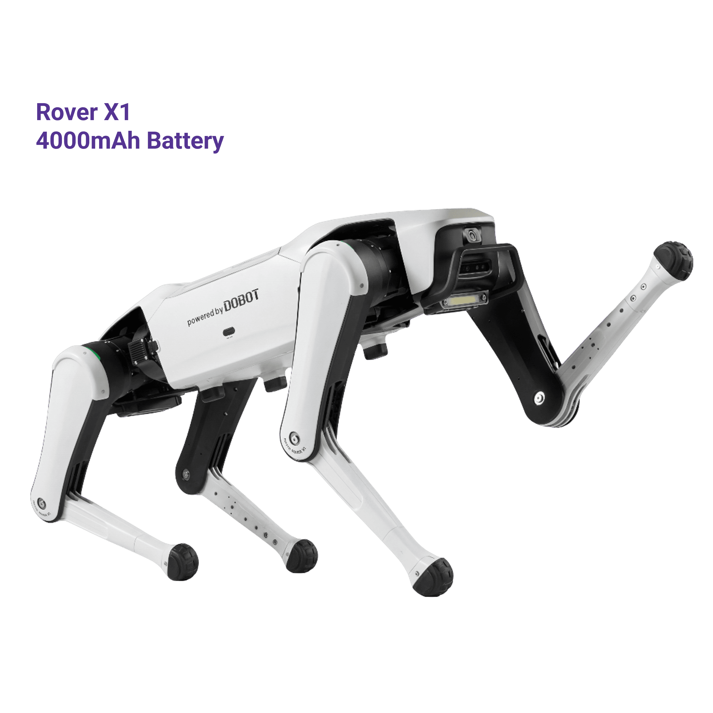 Série Dobot Rover X1 | Chien robotique